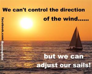 We Can't Control The Direction Of The Wind